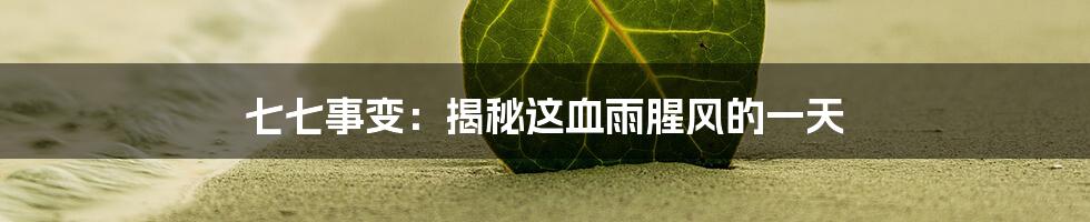 七七事变：揭秘这血雨腥风的一天