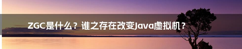 ZGC是什么？谁之存在改变Java虚拟机？