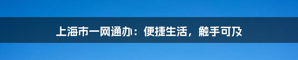 上海市一网通办：便捷生活，触手可及