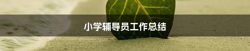 小学辅导员工作总结