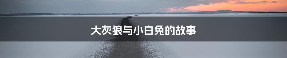 大灰狼与小白兔的故事