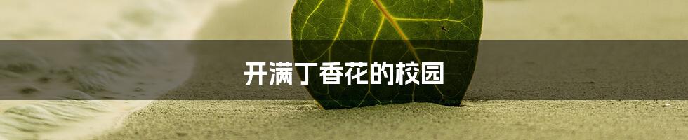 开满丁香花的校园