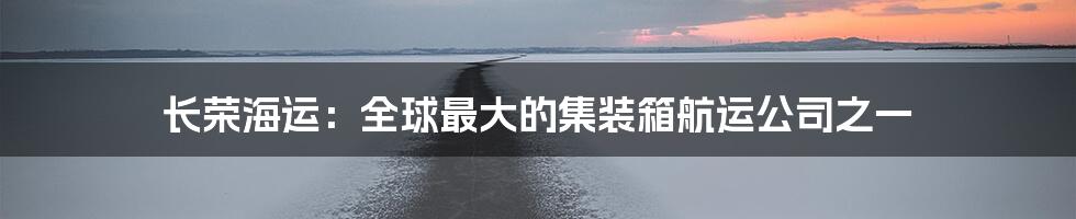 长荣海运：全球最大的集装箱航运公司之一