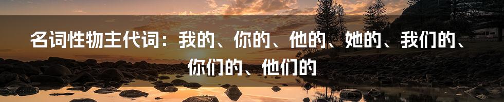 名词性物主代词：我的、你的、他的、她的、我们的、你们的、他们的