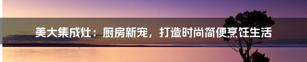 美大集成灶：厨房新宠，打造时尚简便烹饪生活