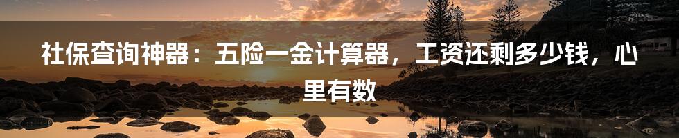 社保查询神器：五险一金计算器，工资还剩多少钱，心里有数