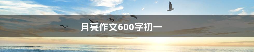 月亮作文600字初一