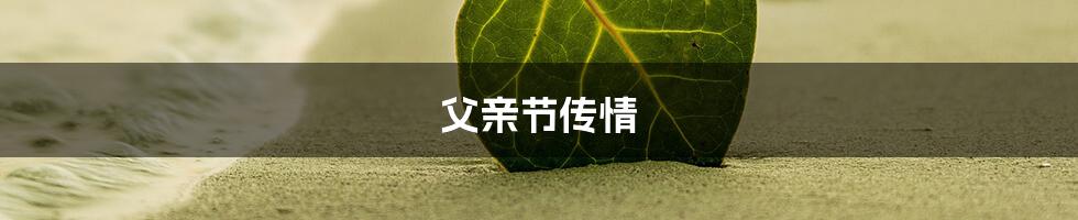 父亲节传情