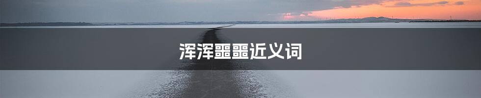 浑浑噩噩近义词