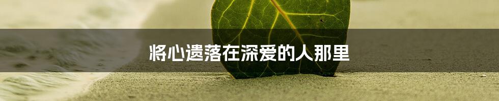 将心遗落在深爱的人那里