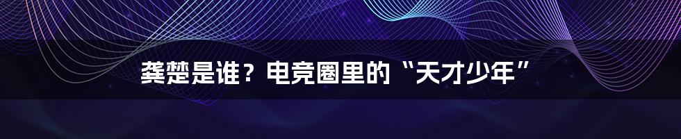 龚楚是谁？电竞圈里的“天才少年”