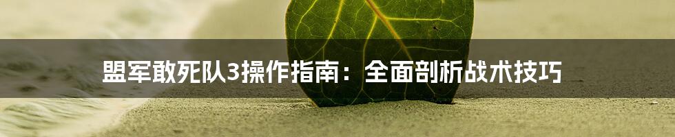 盟军敢死队3操作指南：全面剖析战术技巧