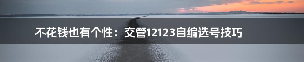 不花钱也有个性：交管12123自编选号技巧