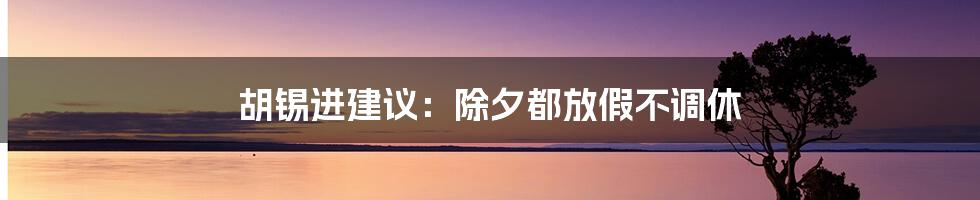 胡锡进建议：除夕都放假不调休