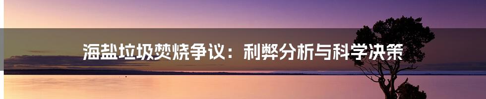 海盐垃圾焚烧争议：利弊分析与科学决策