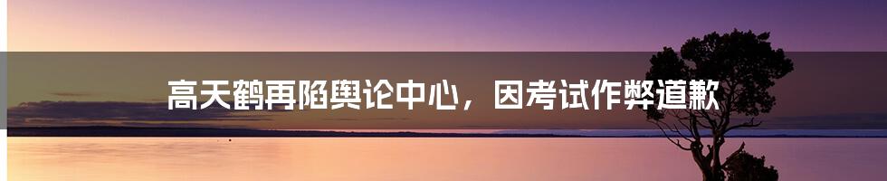 高天鹤再陷舆论中心，因考试作弊道歉