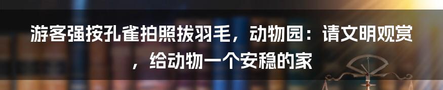 游客强按孔雀拍照拔羽毛，动物园：请文明观赏，给动物一个安稳的家