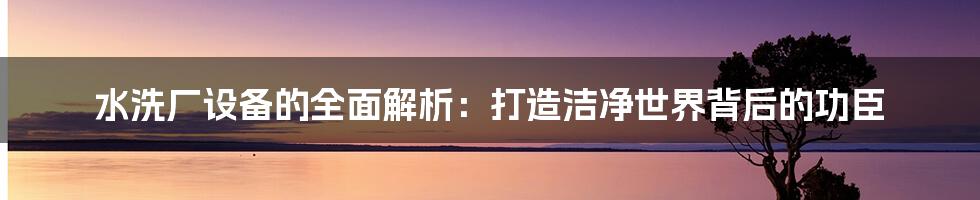 水洗厂设备的全面解析：打造洁净世界背后的功臣