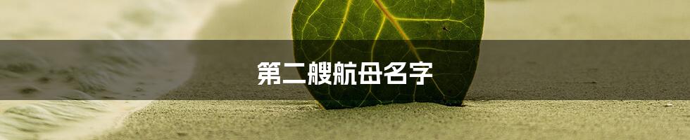 第二艘航母名字