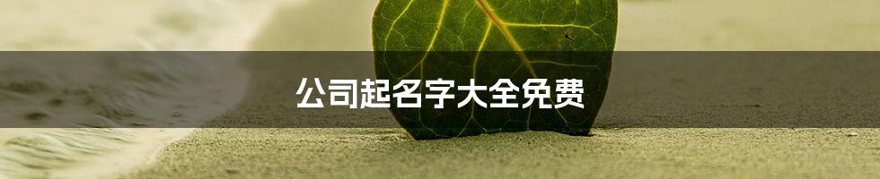 公司起名字大全免费