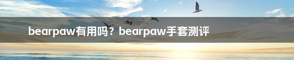 bearpaw有用吗？bearpaw手套测评