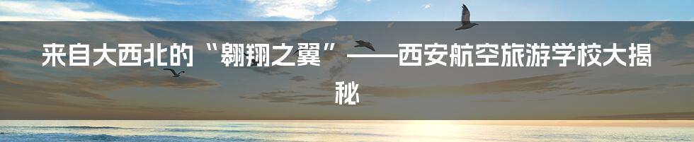 来自大西北的“翱翔之翼”——西安航空旅游学校大揭秘