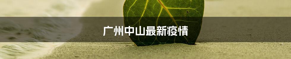 广州中山最新疫情