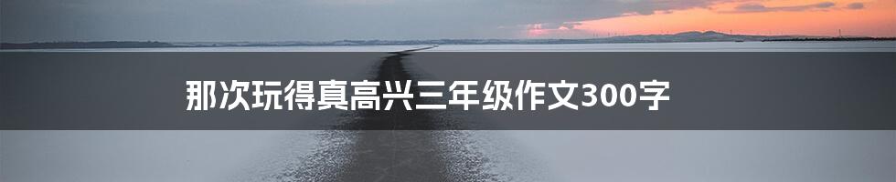 那次玩得真高兴三年级作文300字