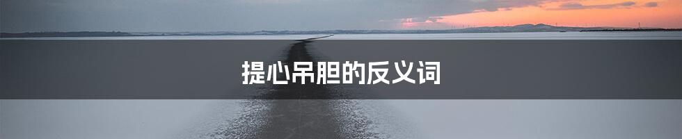 提心吊胆的反义词