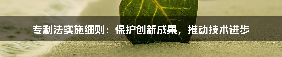 专利法实施细则：保护创新成果，推动技术进步