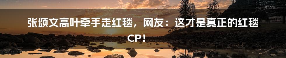 张颂文高叶牵手走红毯，网友：这才是真正的红毯 CP！