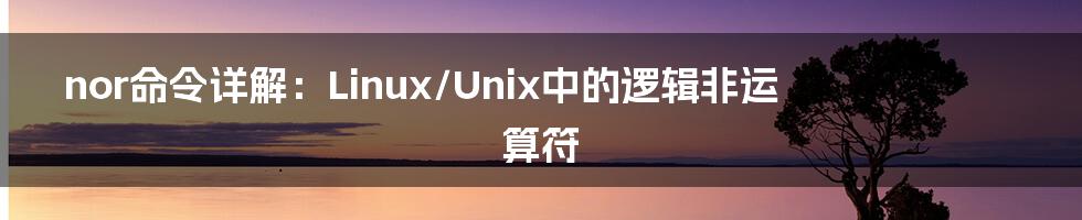 nor命令详解：Linux/Unix中的逻辑非运算符