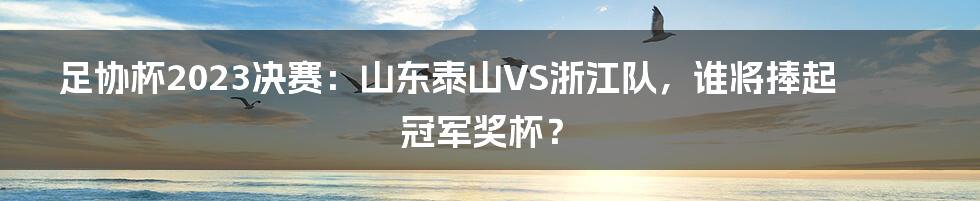 足协杯2023决赛：山东泰山VS浙江队，谁将捧起冠军奖杯？