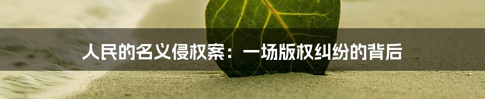 人民的名义侵权案：一场版权纠纷的背后