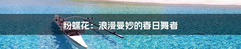 粉蝶花：浪漫曼妙的春日舞者