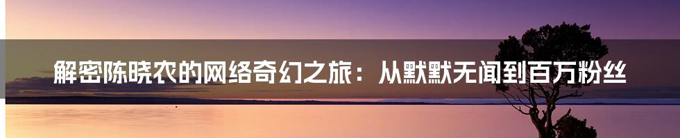 解密陈晓农的网络奇幻之旅：从默默无闻到百万粉丝