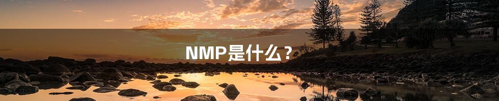 NMP是什么？