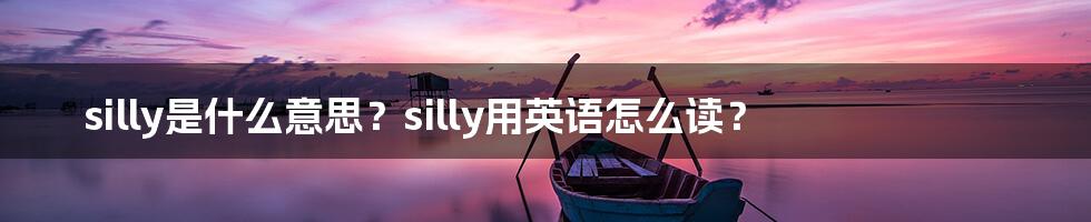 silly是什么意思？silly用英语怎么读？