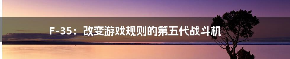 F-35：改变游戏规则的第五代战斗机