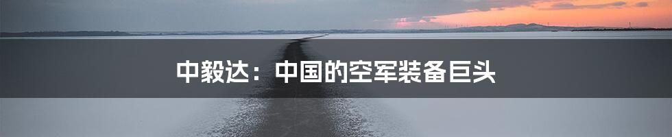 中毅达：中国的空军装备巨头