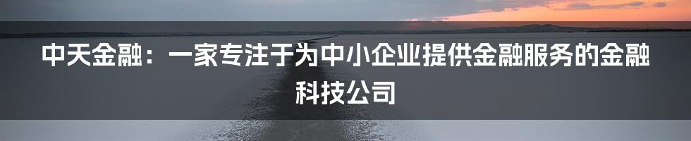 中天金融：一家专注于为中小企业提供金融服务的金融科技公司