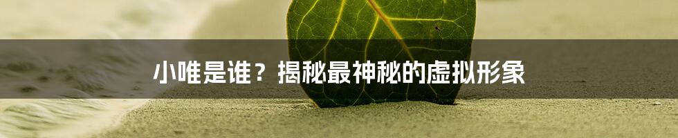 小唯是谁？揭秘最神秘的虚拟形象