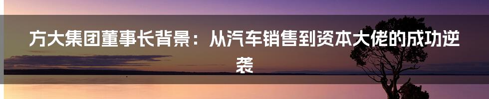 方大集团董事长背景：从汽车销售到资本大佬的成功逆袭