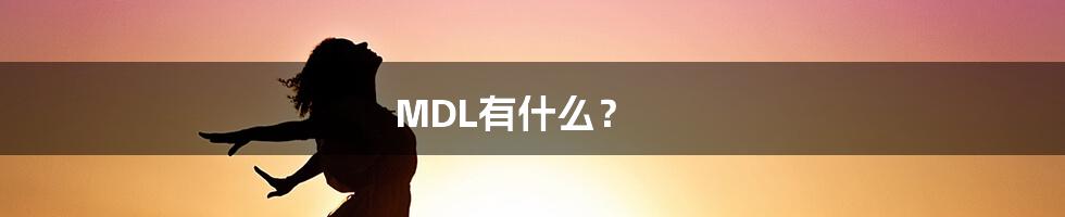 MDL有什么？