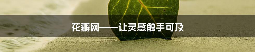 花瓣网——让灵感触手可及