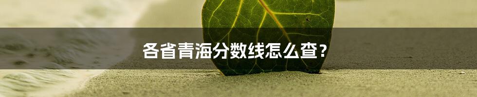 各省青海分数线怎么查？