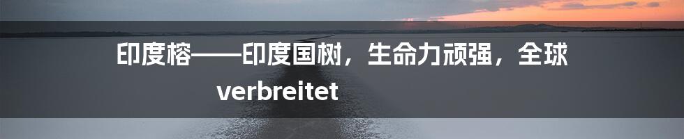 印度榕——印度国树，生命力顽强，全球 verbreitet