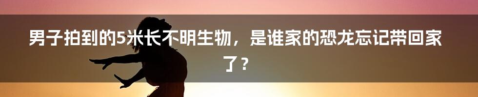 男子拍到的5米长不明生物，是谁家的恐龙忘记带回家了？