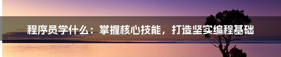 程序员学什么：掌握核心技能，打造坚实编程基础