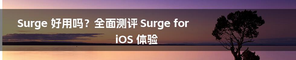 Surge 好用吗？全面测评 Surge for iOS 体验